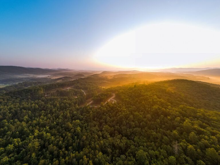 DJI_0051